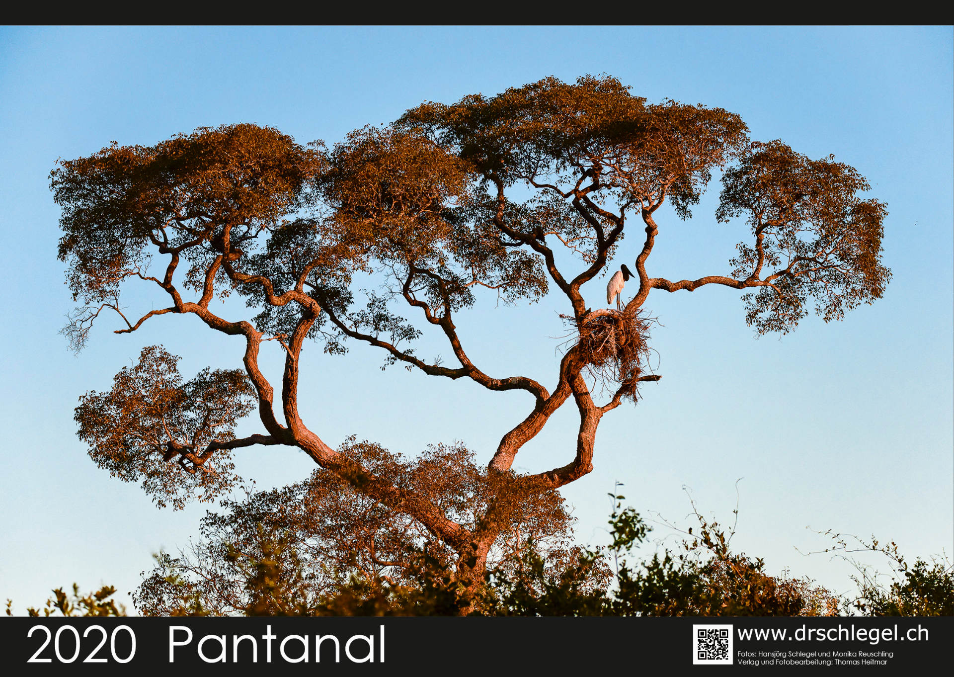 schlegel-foto_fotokalender_pantanal_2020